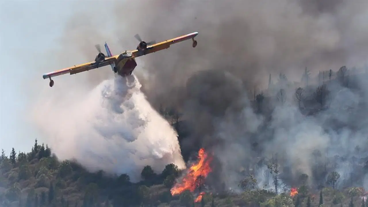 greenpeaceten hukumete tesvik elestirisi o rakamlarla 650 yangin sondurme ucagi alinabilirdi y4Ex5RlX