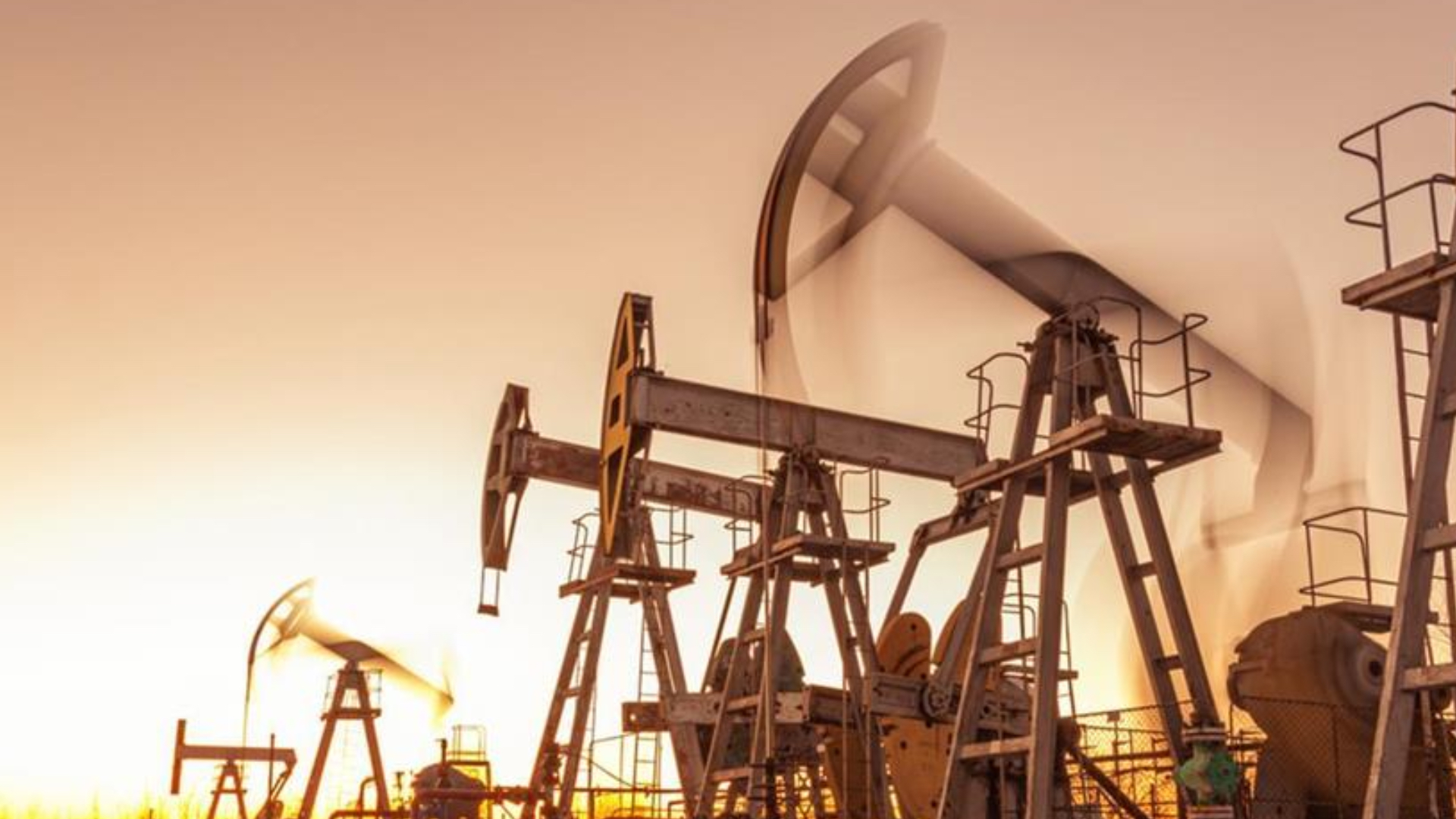 petrol hakkina muteallik karar zjELKhVZ