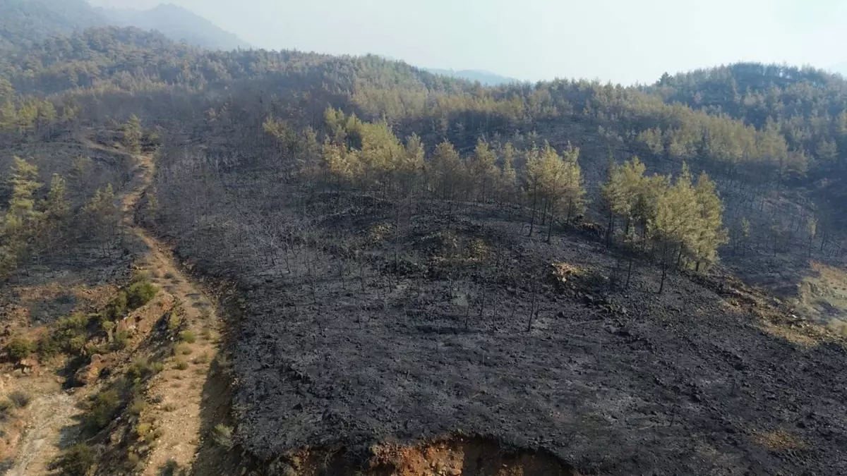 yangin alanlari dronla goruntulendi Gg92pXAG