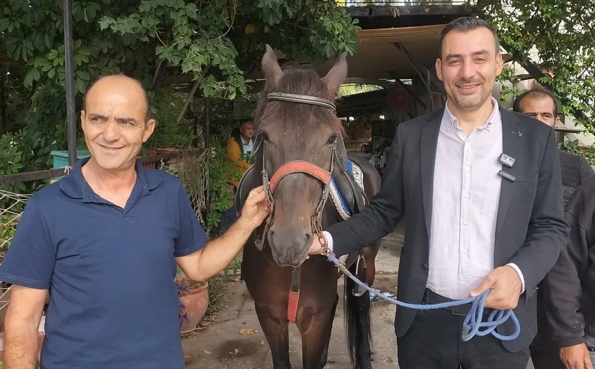 geleneksel rahvan at yarislari manavgatta 1K7sUsKF