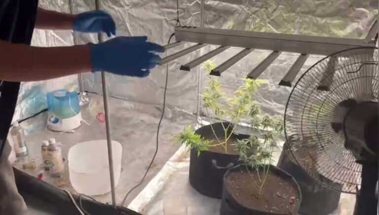 malatyada kilolarca kenevir ele gecirildi NvEErgfg