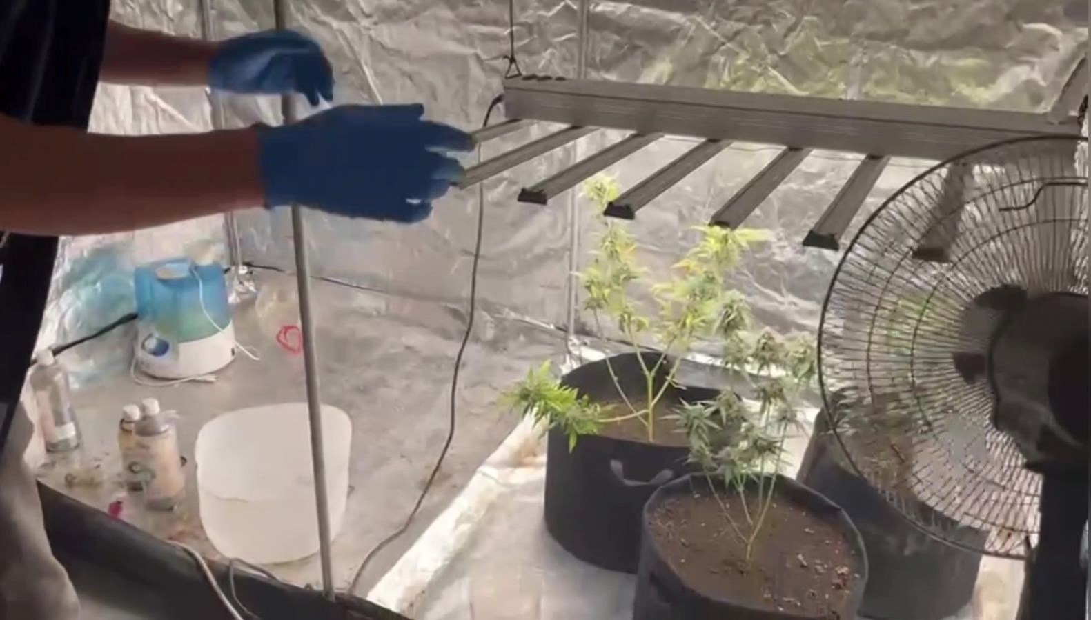 malatyada kilolarca kenevir ele gecirildi NvEErgfg