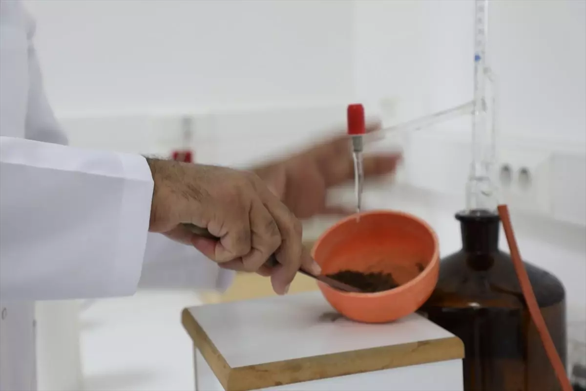 muglada tarimda verimlilik artiyor 6iqbZMVM