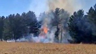 sarikamista orman yangini kf9nwsfz.jpg