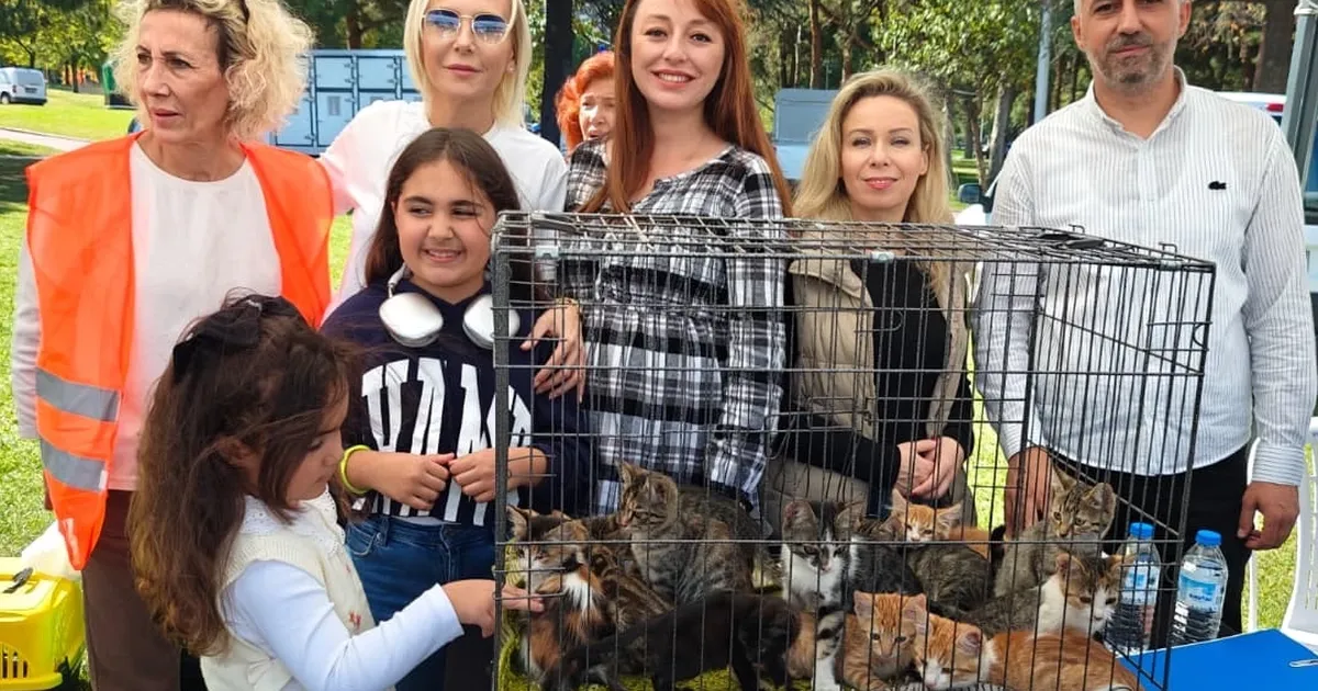 satin alma sahiplen etkinliginde can dostlara yeni yuvalar FJzl1EMJ